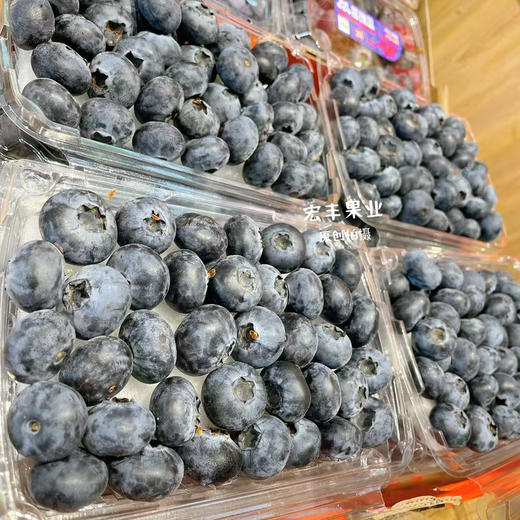 【宏丰精选】超大蓝莓，口感纯甜，果粉足，活动价25一盒 商品图9