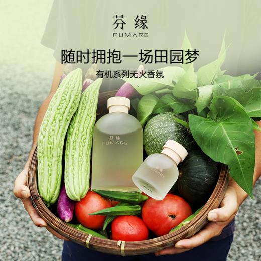 芬缘FUMARE有机系列无火香薰室内持久留香大容量香氛挥发液礼物 商品图6