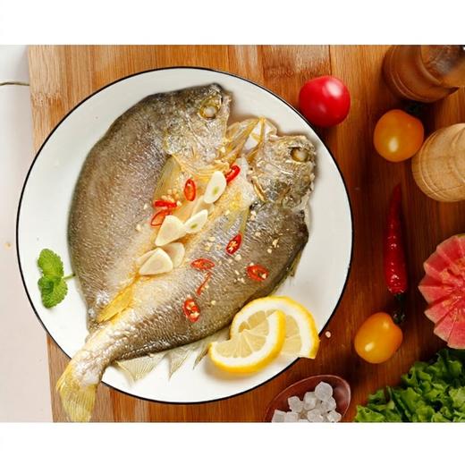 有机大黄鱼/有机黄鱼鲞，12项药残未检出，无抗有机双认证，生鲜冷冻安心美味，顺丰发货 商品图6