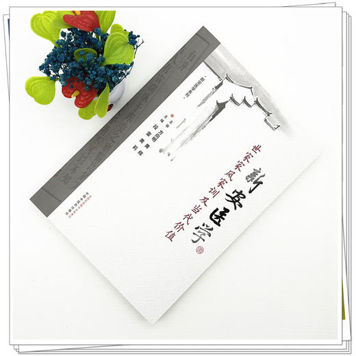 新安医学世家家风家训及当代价值 段雷 黄莉 主编 中国中医药出版社 商品图1