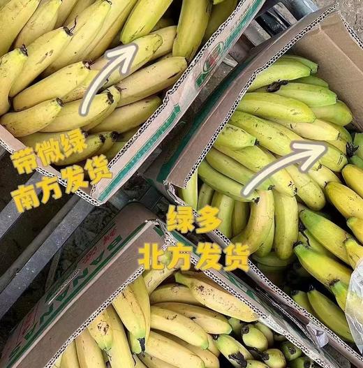 天宝香蕉🍌【国家地理标志产品】，2000多年种植历史   463项检测无农残  皮薄无芯  香软滑糯 吃一口就会爱上 商品图3