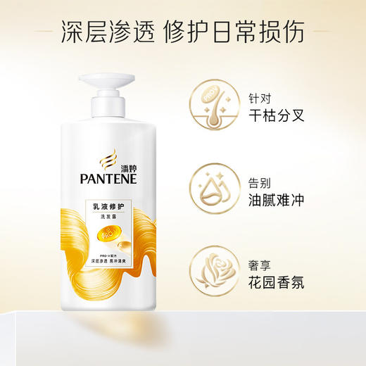 潘婷洗发露750ml 商品图1