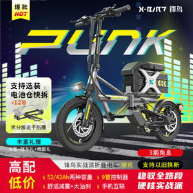 锋鸟PUNK 2025年新款实力派折叠超轻长续航便携迷你小型电瓶滴专用代驾电动自行车