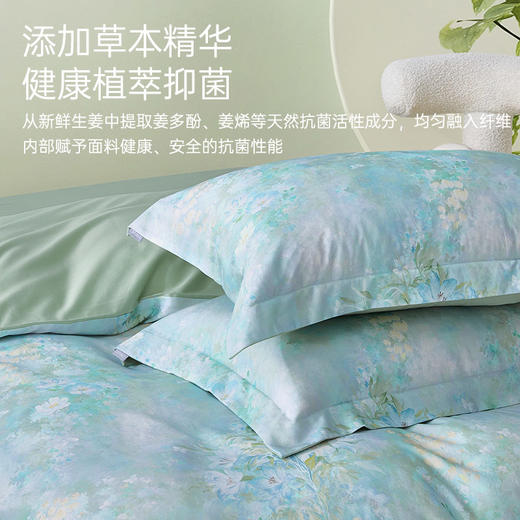 莱赛尔棉抗菌四件套(晨露花园) 商品图3