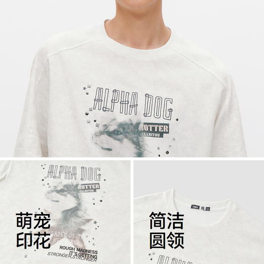 商场同款|森马短袖T恤男夏季可爱时尚萌宠印花针织衫2026新款上衣 商品图3