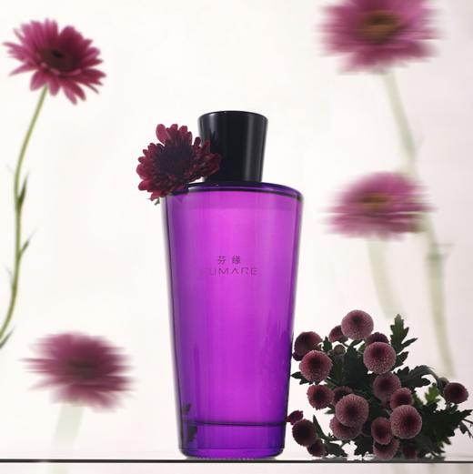 芬缘FUMAREMUSE高端系列大容量藤条香薰室内持久留香小众家居香氛 商品图6