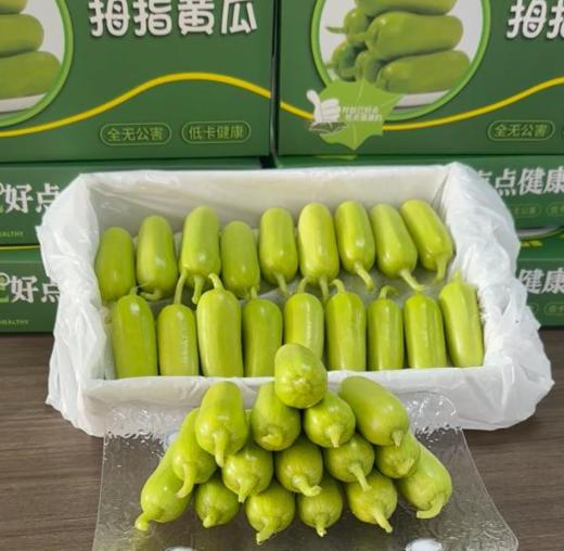 【会员19.5/斤】农夫天下拇指黄瓜 商品图0