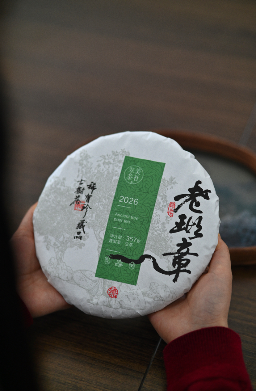 2026【老班章头春】霸气直入人心，今年老班章的第一口鲜！