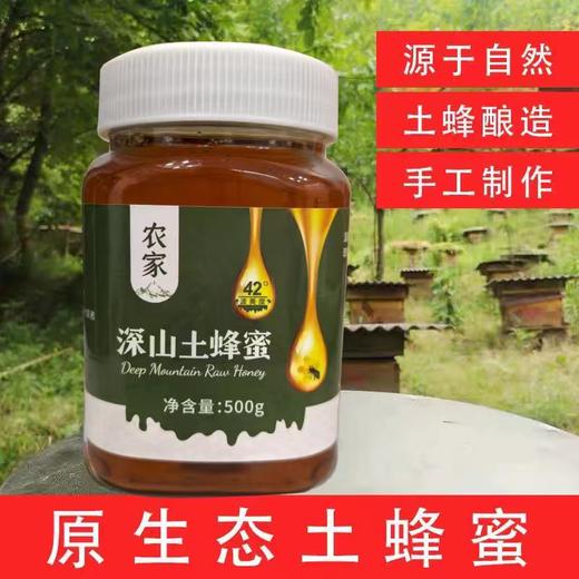 升级土家蜂蜜  更好的蜜源  农家自产生态蜜 500g/瓶 商品图2