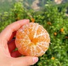 礼盒装4斤大果【云南高山虎柑】黄金甜酸比，果大肉多，自带糖化虎皮斑，不打蜡不打甜味剂 商品缩略图3