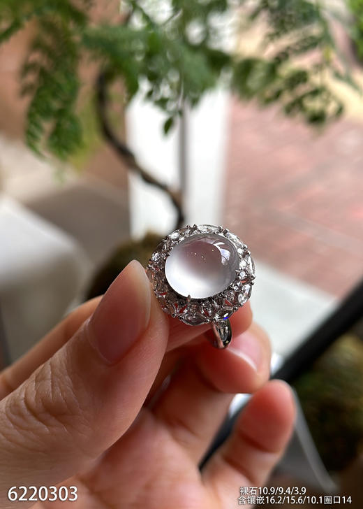 6220303，蛋面戒指。具体价格微信咨询 商品图0