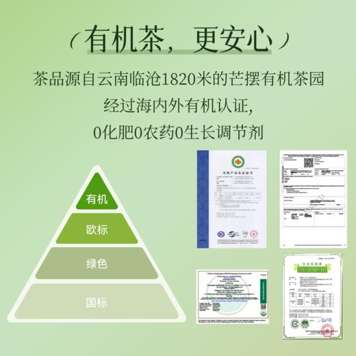 万物生 | 自然森林之礼 | 有机茶叶礼盒 商品图1