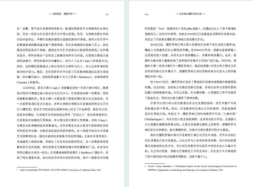 印度教在犍陀罗的兴起 商品图13