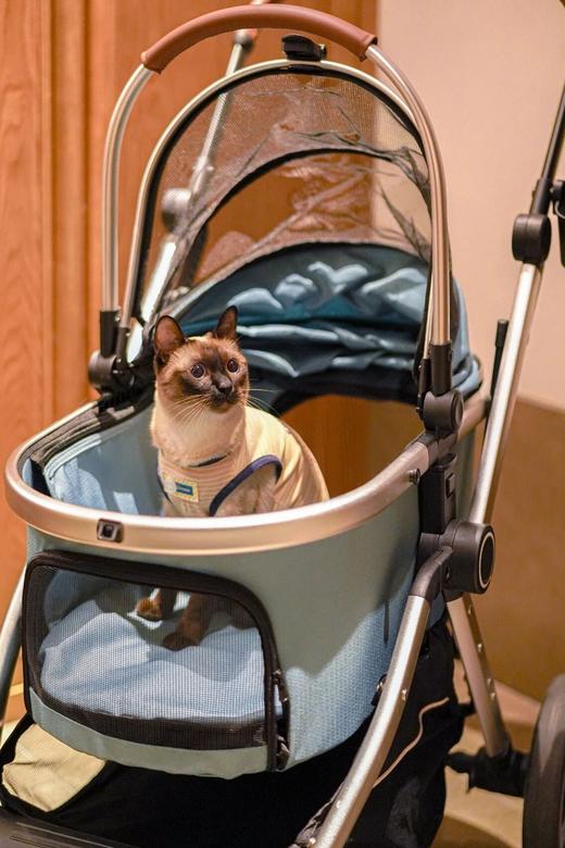 🌸 绍兴兰亭璞燊酒店×春樱有信 商品图10