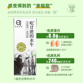 认养吃甘蔗的水牛奶 儿童学生早餐奶 全脂纯牛奶 200mL*10盒 送礼礼盒 /水饮冲调 /常温奶 /基础牛奶 商品图6
