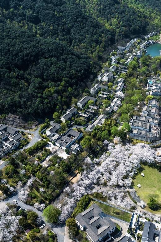 🌸 绍兴兰亭璞燊酒店×春樱有信 商品图1