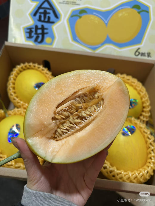 海南小金珠甜瓜一个品尝装 商品图1