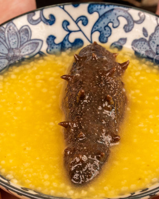 【健康丹品】金汤小米烩辽参 200g装【呼啦优选】海家福 6份装加赠1份金汤花胶捞粗粮 商品图4