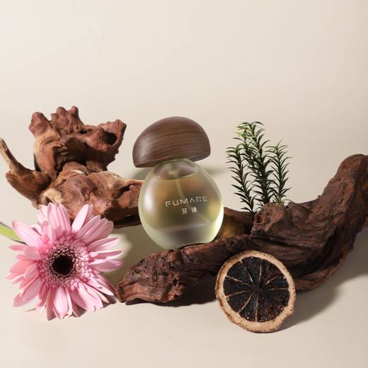 芬缘FUMARE大地有息系列香水小众高级感持久留香男女生香氛礼物 商品图5