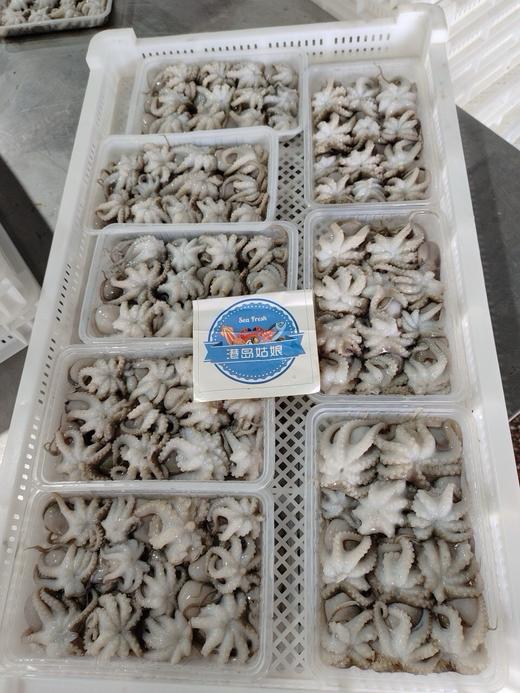 L''海洋的味道！去肚小章鱼，原汁原味，一口一个鲜！400g/盒 商品图1