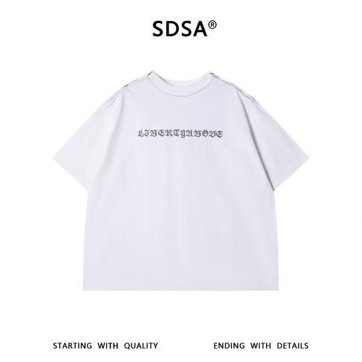 824SDSA男装2026新款高贵轻奢潮牌胸前撞色字母圆领短袖T恤百搭宽松 商品图1