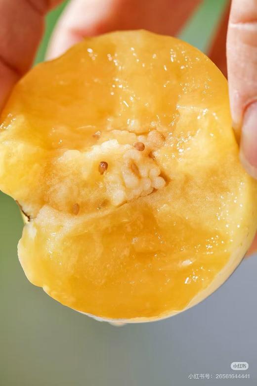 周二取货:【火山蜜人参果】一盒6个，生吃清脆，熟吃香甜！清甜多汁！ 商品图4