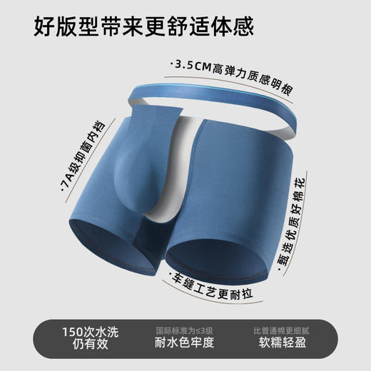 【春季上新】100% 长绒棉内裤 · 60s 四季款棉内裤 商品图1