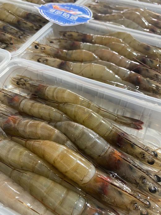 xm 今日100%新鲜回港，即将售空！！！！“断货王”白笋虾，强势回归 带有虾膏的顶级海虾！顺丰冷链活冻锁鲜到家 商品图3