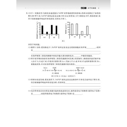 高中生物专项突破——非选择题（第二版）/吴崇良 主编/浙江大学出版社 商品图3