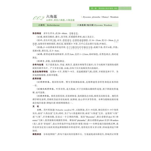 慈溪珍稀濒危植物图鉴/徐绍清 徐路遥 马丹丹 著/浙江大学出版社 商品图3