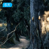寻迹古蜀道｜跟随诗仙李白的足迹 行走千年历史长廊 56KM轻徒步 6日 商品缩略图2