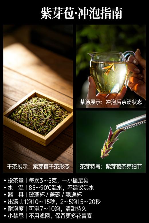 3月25日中午12点【荒野紫芽苞】2026年临沧大雪山头春只采头三天；邀君共品第一口“鲜”每份150g 商品图1