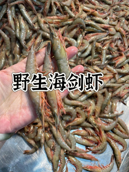 & 剑虾，滑皮虾，壳脆硬壳海虾，鲜甜补钙【活冻】 商品图4