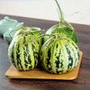 【花美人蜜瓜甜瓜】肉厚细腻，脆甜多汁， 商品缩略图1