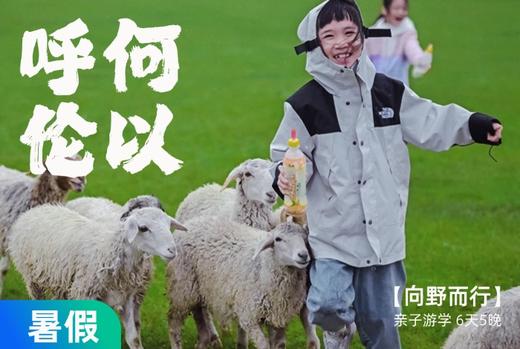 【暑假】在呼伦贝尔给野性充值，寻访三个林草带少数民族 6天5晚 商品图0