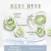 伯纳乌水润去屑/清盈柔顺洗发水 525ml*2 G039 商品缩略图1