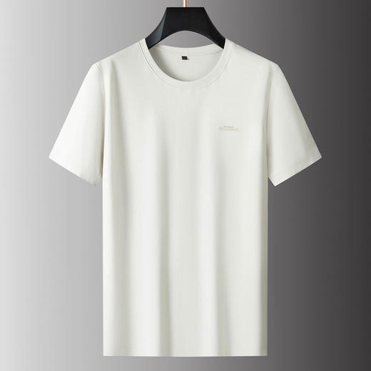 【DPS】【莫代尔】大依优型大码男装圆领纯色短袖T恤透气舒适百搭上衣 商品图4