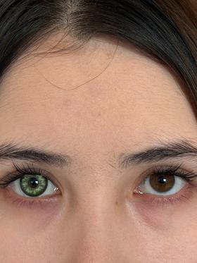 hancon日抛美瞳 数码暴龙 14.5mm