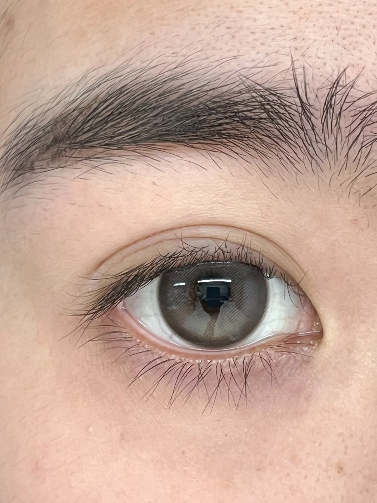 hancon日抛美瞳 芝麻布丁 14.5mm