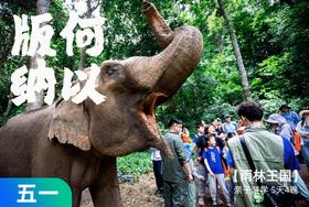 五一特期 | 西双版纳，丛林王国里的人与自然 5天4晚