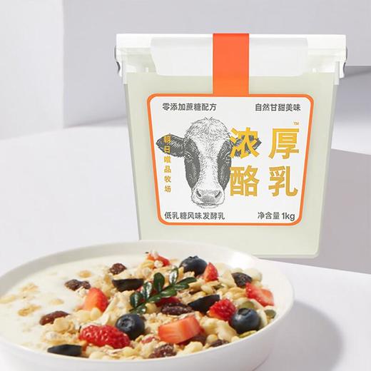 唯品低乳糖风味发酵乳1kg/桶 商品图3