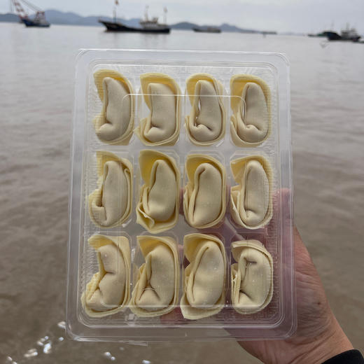 舟选 刀鱼馄饨 春日限定 码头直发 馅料饱满 鲜嫩醇香 300g/盒 商品图5