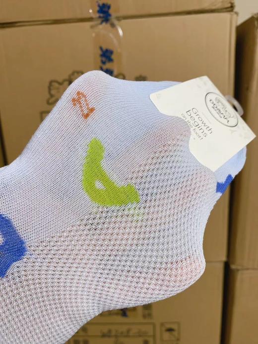 直发【发12双】 无骨缝合+精梳棉，琳达袜业，儿童夏季网眼中筒袜子 商品图4