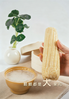 【玉之芯珍珠甜糯玉米】