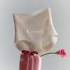 【Cerotich7A抑菌无痕蜜桃提臀收腹裤】女士高腰内裤莫代尔底裆三角裤 商品缩略图2