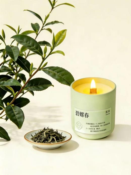察木 碧螺春 木芯土陶杯精油蜡烛 商品图0