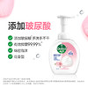 滴露 泡沫洗手液花香型250ml 22205020433 商品缩略图4