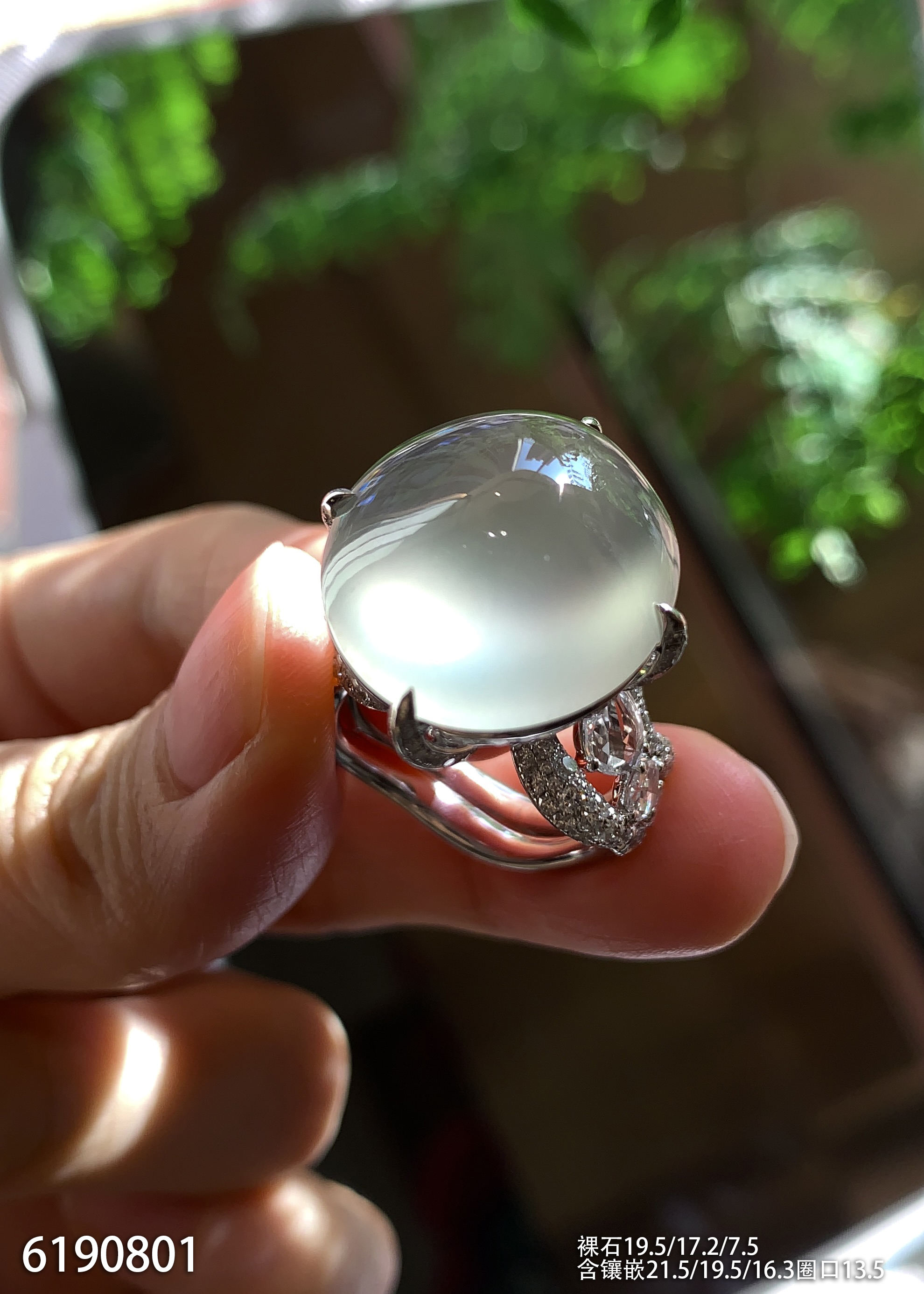 玻璃种蛋面戒指【6190801】具体价格微信咨询