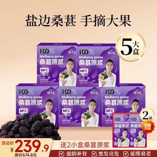 爆款-桑葚原浆 20袋/盒 商品图2