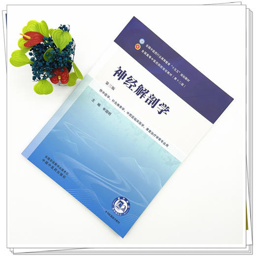 神经解剖学 申国明 主编（第三版）全国中医药行业高等教育十五五第十二版规划教材 中国中医药出版社 商品图1